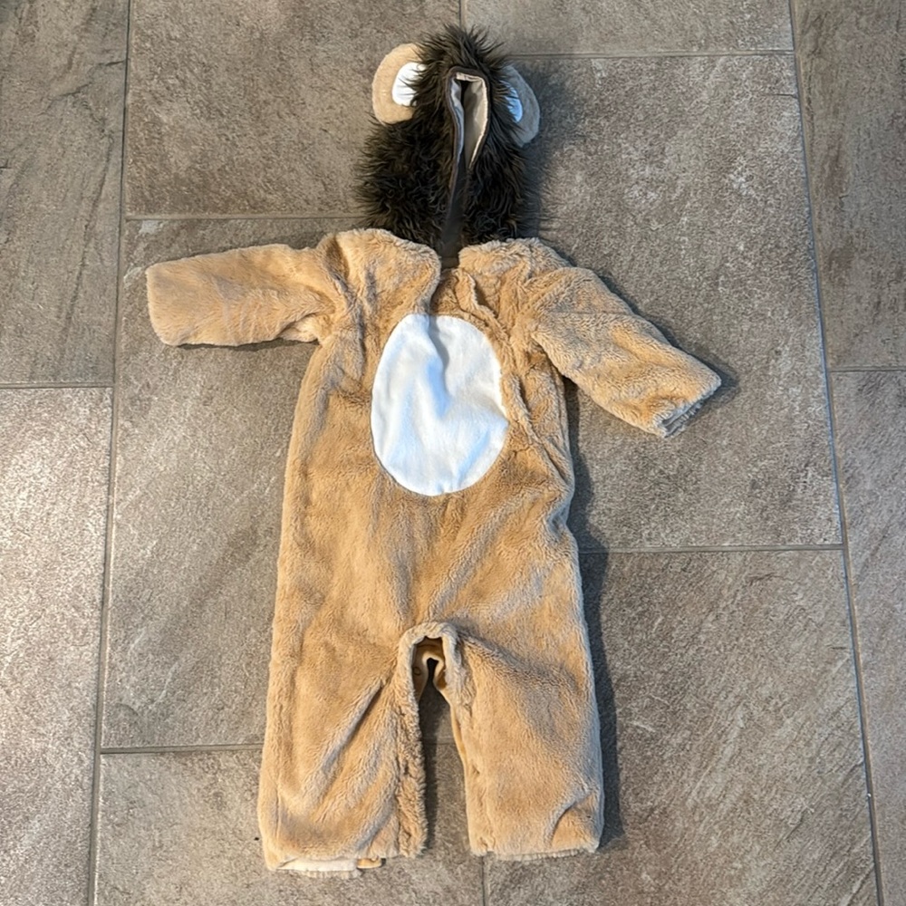 Pottery barn lion costume 12-24 mo